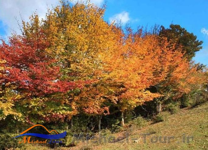 جنگلهای انجیلی سوادکوه جنگلهای انجیلی سوادکوه