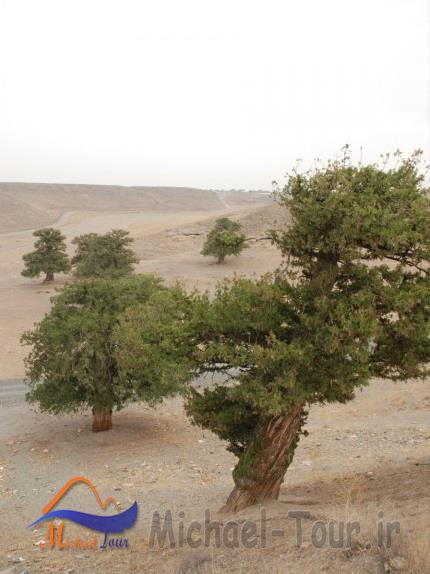 روستای گهوار گر