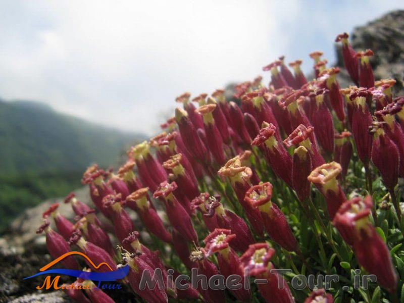 قله اسپیناس