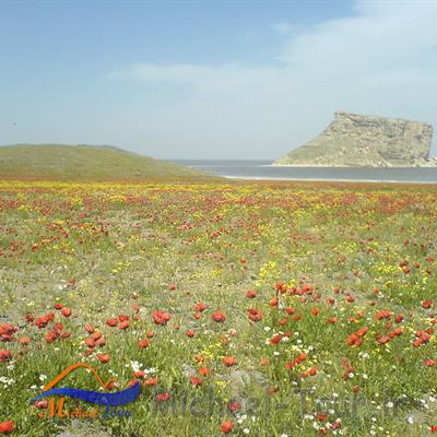 دریاچه ارومیه