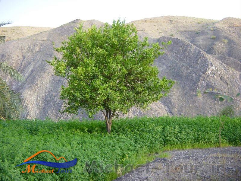 تنگه فنوج تنگه فنوج