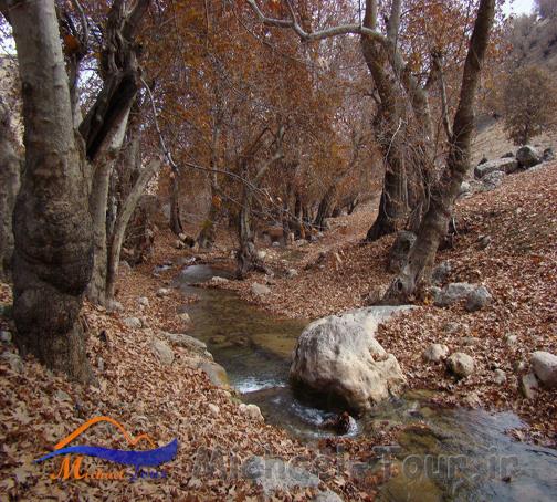 روستای بسطام