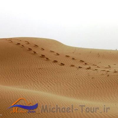 منطقه شکار ممنوع ام الدبس