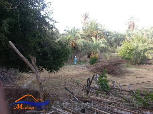 باغهای سرسبز اسپکه باغهای سرسبز اسپکه