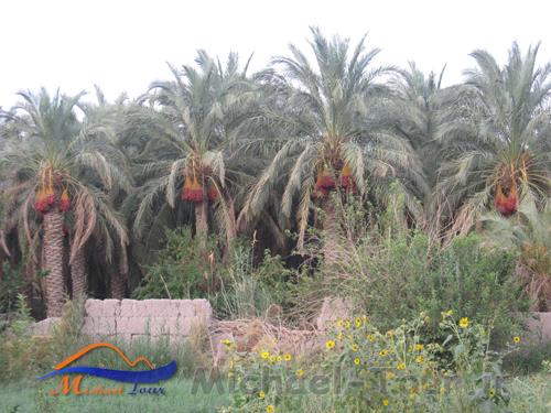 روستای قلعه عسکر روستای قلعه عسکر
