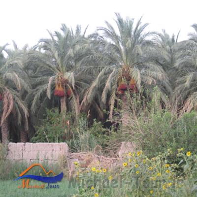 روستای قلعه عسکر