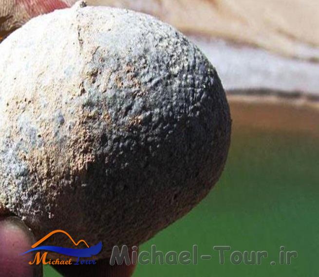 موزه دیرین شناسی موزه دیرین شناسی