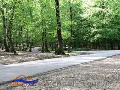 پارک جنگلی تلار پارک جنگلی تلار