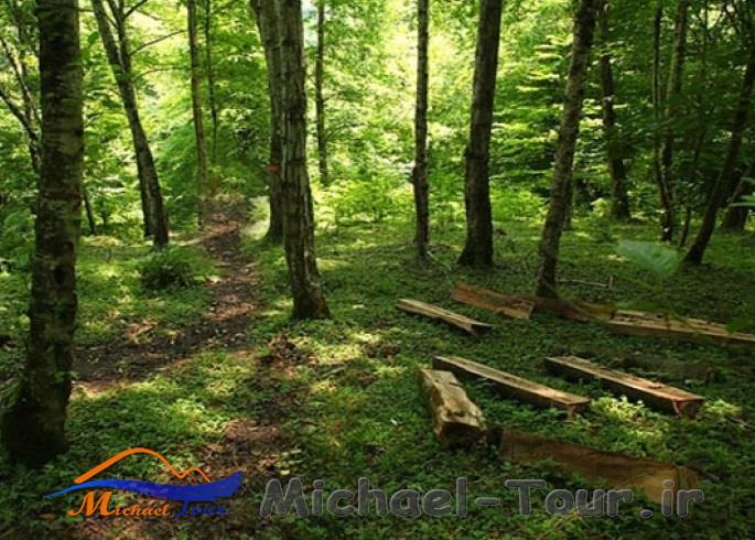 جنگلهای انجیلی سوادکوه جنگلهای انجیلی سوادکوه