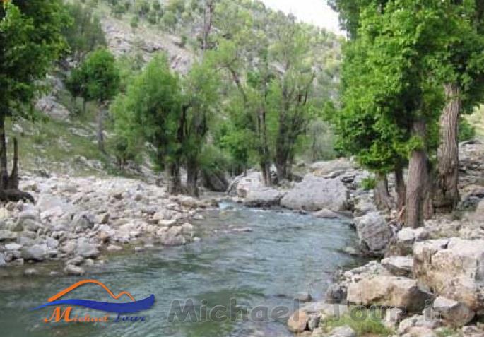 تنگ هونی