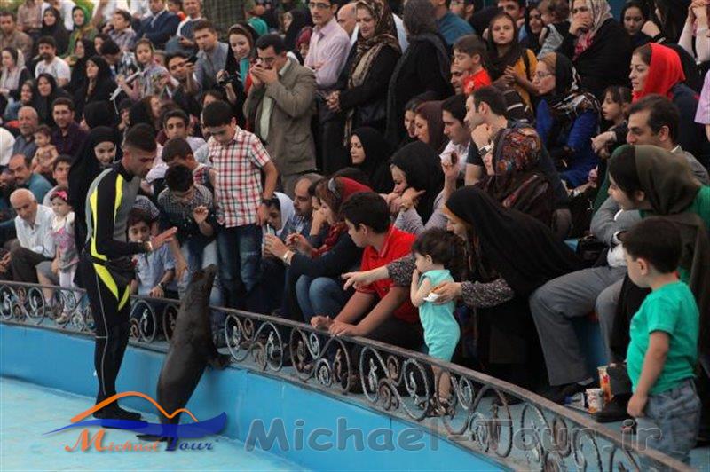 دلفیناریوم برج میلاد دلفیناریوم برج میلاد