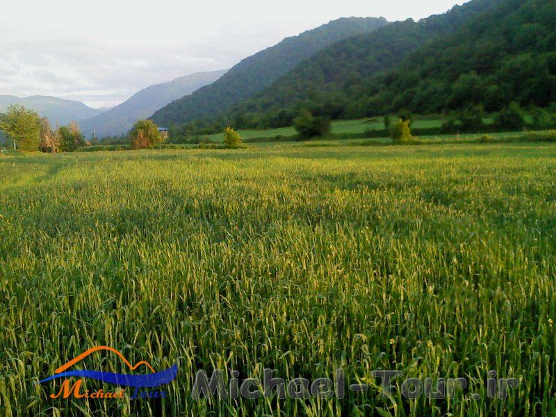 روستای الامن كتول