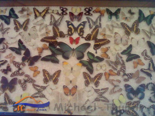 موزه برادران امیدوار سعدآباد موزه برادران امیدوار سعدآباد