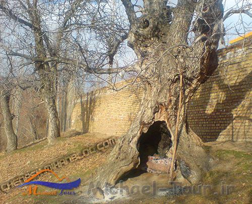 روستای چناسک