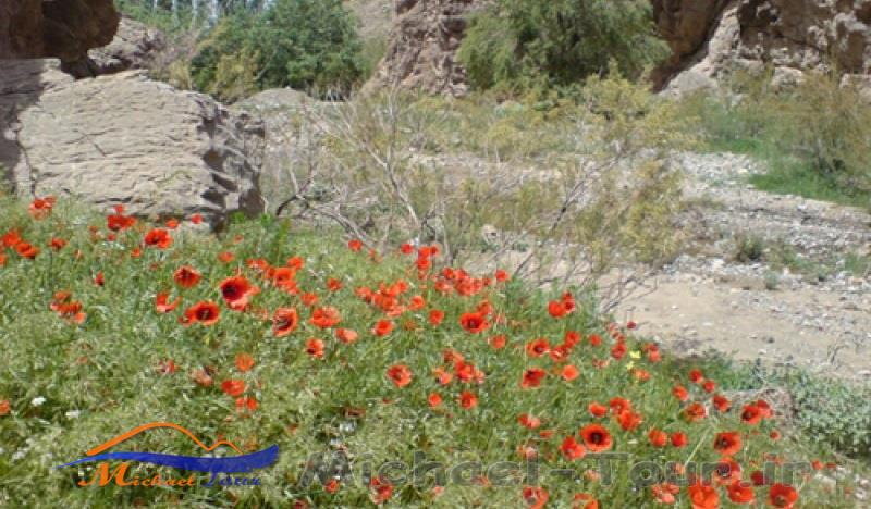 روستای خوشاب روستای خوشاب