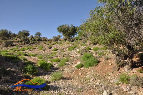 روستای چنار ناز خاتم