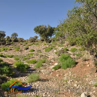 روستای چنار ناز خاتم