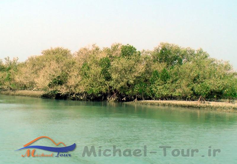 تالاب آذینی ( خور سیریک ) تالاب آذینی ( خور سیریک )