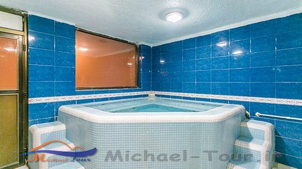 استخر پردیس ایرانیان