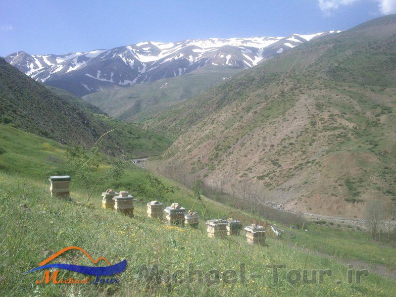 روستای لسبو روستای لسبو