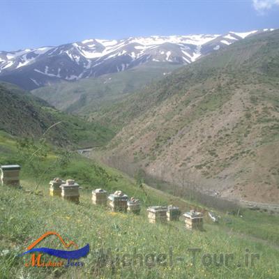 روستای لسبو
