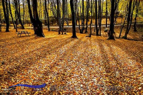 پارک جنگلی النگدره بهشت پاییزی گرگان