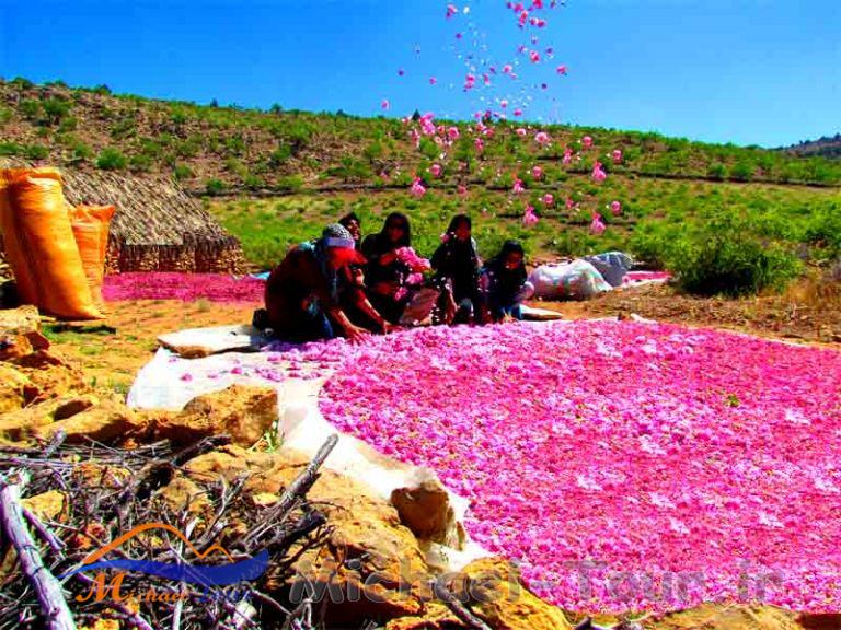 لایزنگان 