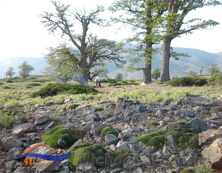 طبیعت سردانسر طبیعت سردانسر