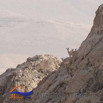 منطقه حفاظت شده عبدالرزاق