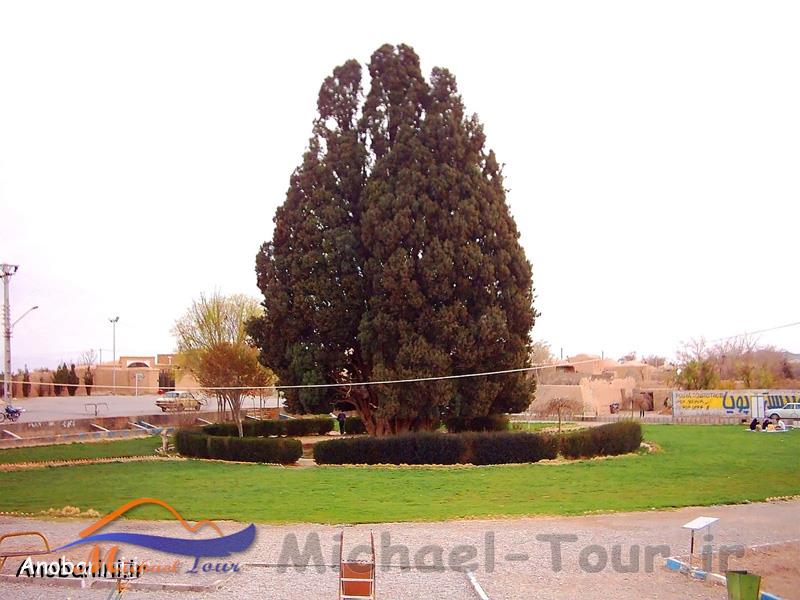 شهر ابرکوه شهر ابرکوه