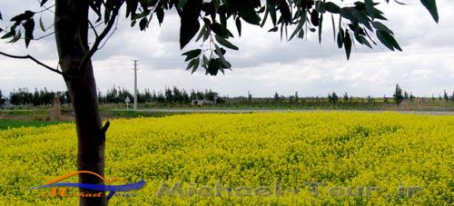 شهر پایین هولار 