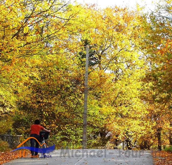 شهرستان بهشهر