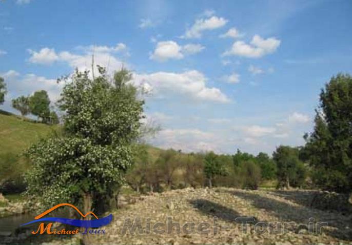 تنگ هونی
