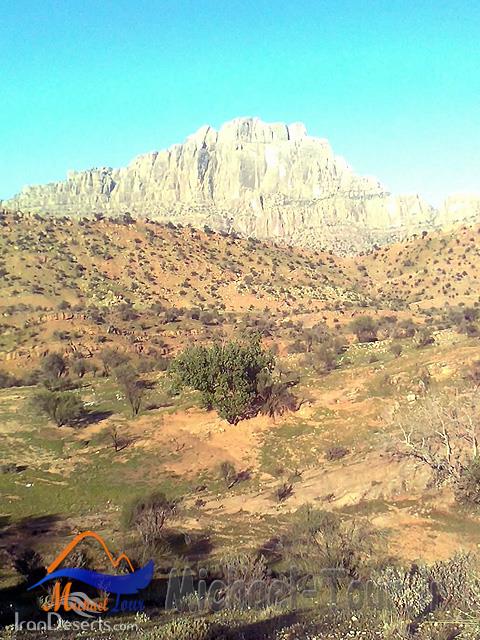 منطقه شکار ممنوع هفت تنان