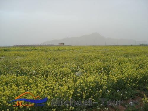 شهر دو برجی شهر دو برجی