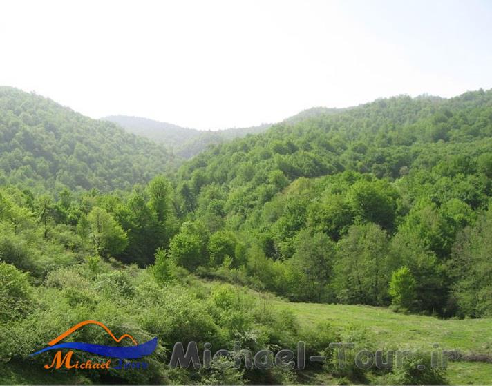 روستای چلی علیا روستای چلی علیا