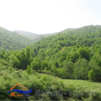 روستای چلی علیا