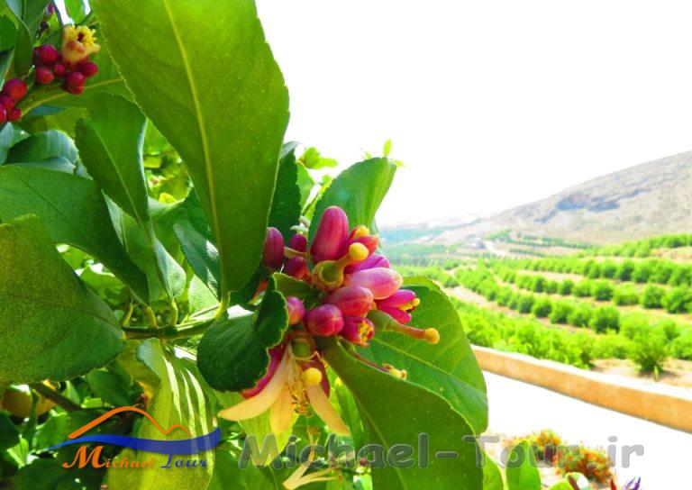 روستای هکان روستای هکان