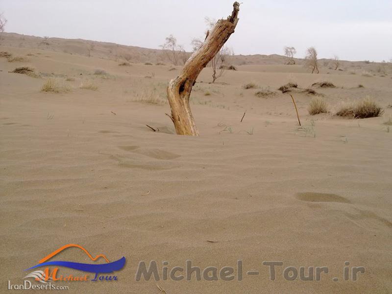 کویرحلوان طبس کویرحلوان طبس