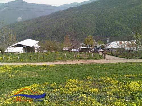 ذخیره‌گاه جنگلی افراتخته