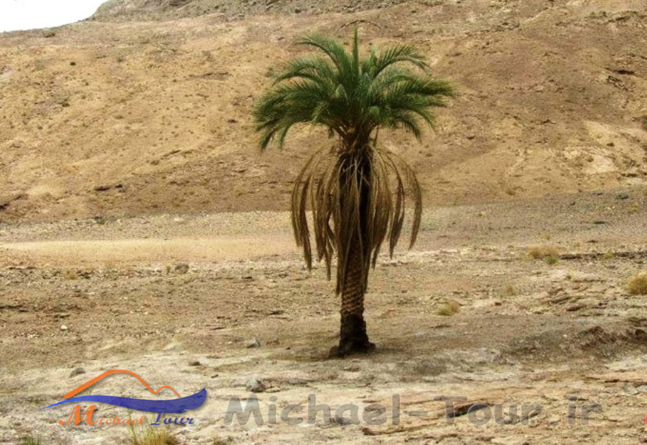 دشت سمسور ایرانشهر دشت سمسور ایرانشهر