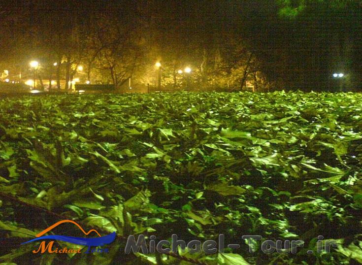 پارک قیطریه تهران