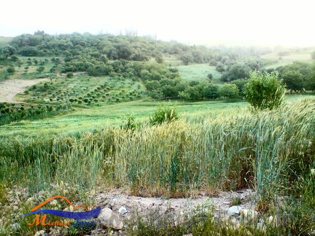 روستای خشتیانک روستای خشتیانک