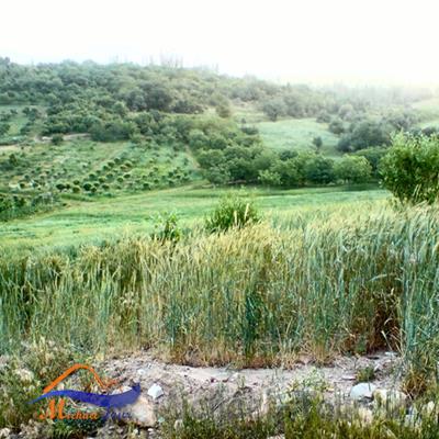 روستای خشتیانک