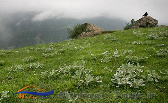 روستای جواهرده