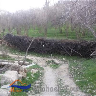 روستای المور