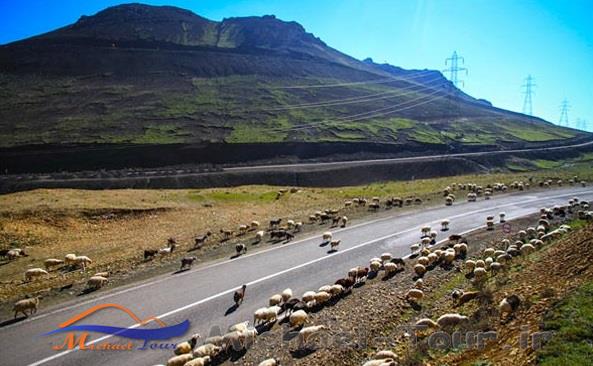 گردنه الماس