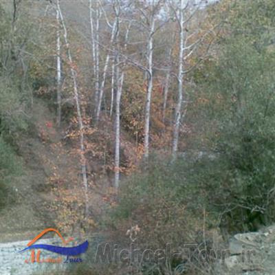 یونجه زار تهران