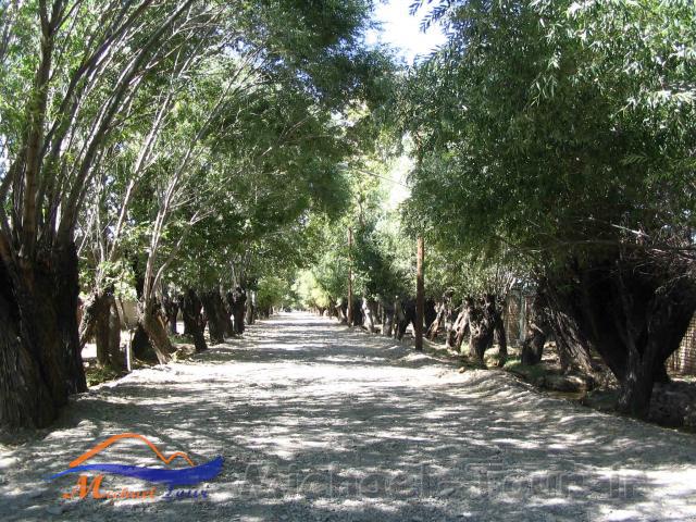 شهر باغستان 