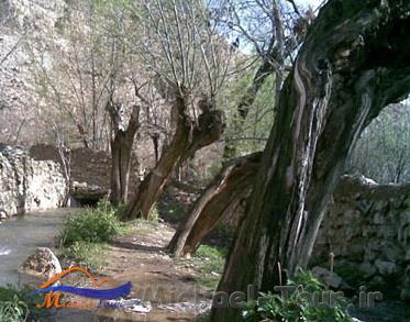 روستای باباعلی روستای باباعلی